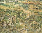 Vincent Van Gogh, Meadow in the Garden of Saint-Paul Hospital (nn04)